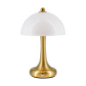 Настольная лампа L'Arte Luce Luxury Tecazo L64931.70