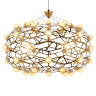Светодиодный подвесной светильник L'Arte Luce Luxury Busk L31500