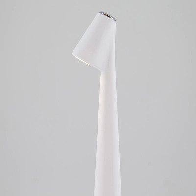 Настольная лампа Africa L’ARTE LUCE LUXURY L69830.02