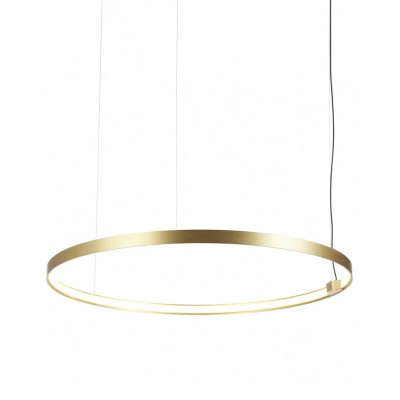 Светодиодный подвесной светильник L'Arte Luce Luxury Zero L47805