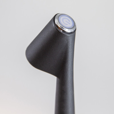 Настольная лампа Africa L’ARTE LUCE LUXURY L69830.09