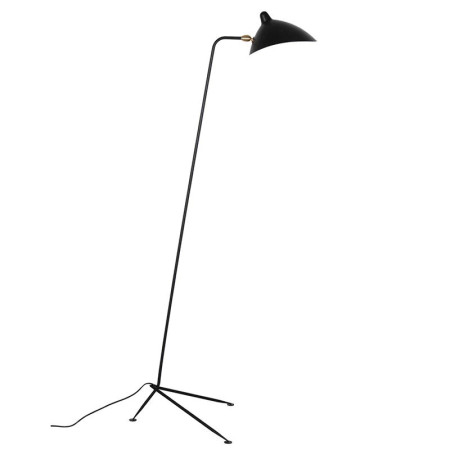 Торшер L'Arte Luce Luxury Spider L05641