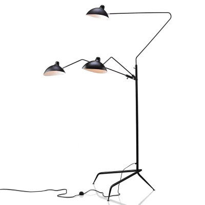 Торшер L'Arte Luce Luxury Spider L05644