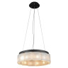 Подвесная люстра L'Arte Luce Luxury Cinghia L29510