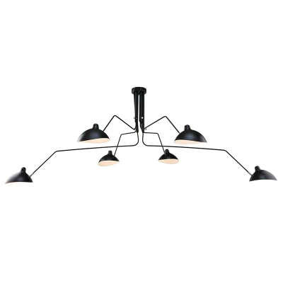 Подвесная люстра L'Arte Luce Luxury Spider L05606