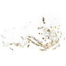 Светильник подвесной Wings L’ARTE LUCE LUXURY L63403
