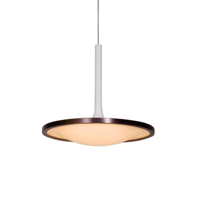 Светодиодный подвесной светильник L'Arte Luce Luxury Rowdy L21761.02