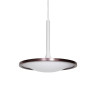 Светодиодный подвесной светильник L'Arte Luce Luxury Rowdy L21761.02