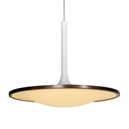 Светодиодный подвесной светильник L'Arte Luce Luxury Rowdy L21762.02