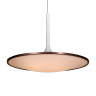 Светодиодный подвесной светильник L'Arte Luce Luxury Rowdy L21763.02