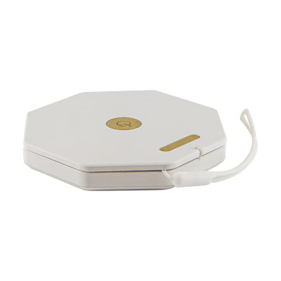 Настольная лампа Spring L’ARTE LUCE LUXURY L80230.02