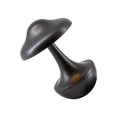 Настольная лампа Tumbler L’ARTE LUCE LUXURY L79930.09